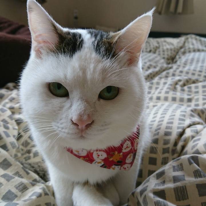 48af4173 9dcd 4727 ae1b 8147e183f917 1513050700404