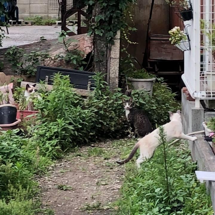 48af452c 93fa 42f6 aedb 897577d95035 1531084060129