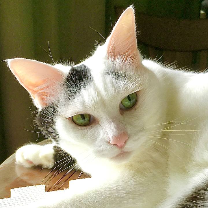 48af52a4 3551 425a 86ca 9500ac046692 1599550299114