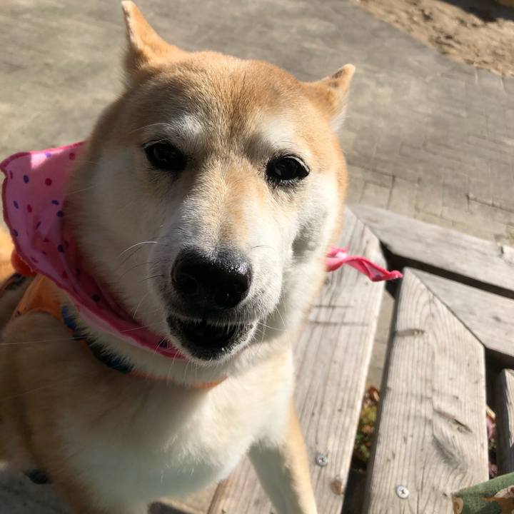 48af6311 6e1a 43c3 a5e9 b5a3c772d6bc 1604976779295