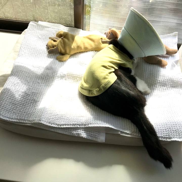 48af92e1 15d2 41ba 96e9 f0376eff7e50 1581574943735