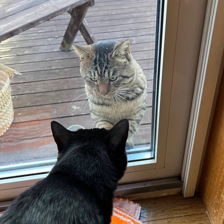 48afdece f5e6 433c b384 150d461d70e3 1667772099255