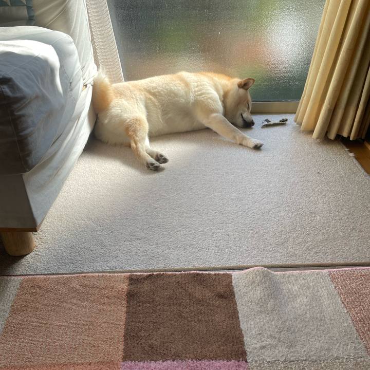 48afdf5a acae 46f9 90c3 dd6837095e89 1707366749257