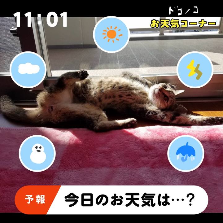 48b01053 aaef 4d56 aef4 b45a3d6e4fc1 1781914495009