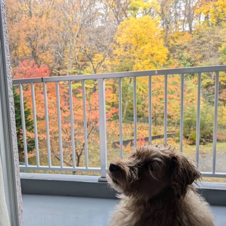 48b08745 c661 49d4 b8e1 09e277f2b7e0 1730501576689