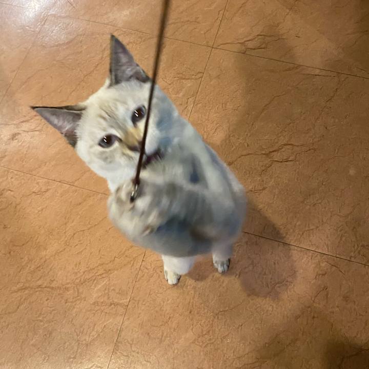 48b0c64f 1a26 4dda 9927 b38a435fa292 1636797809915