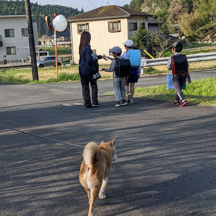 48b0dc6b e117 439d 8a6e d93801364a8d 1744258566835