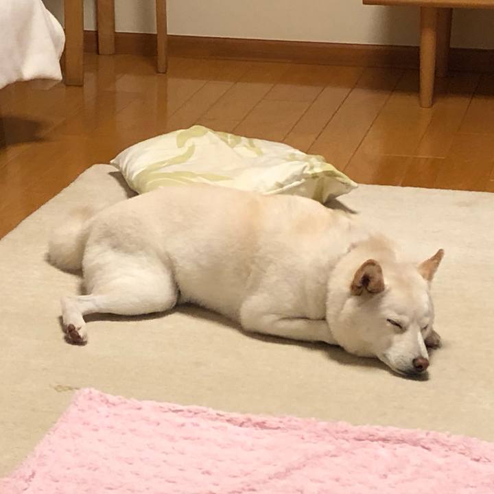 48b0e150 6c11 47c6 94f9 7787edd48435 1575043460169