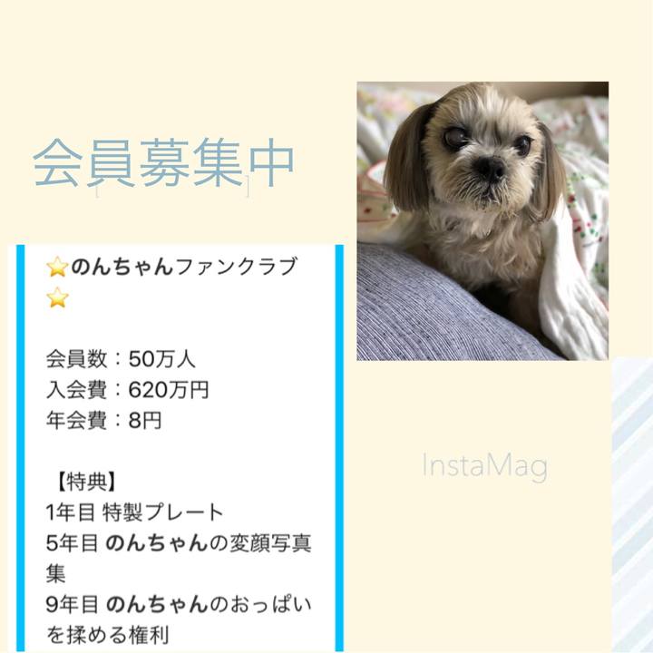 48b109ea 0b7a 4837 85e8 40dc908bb33b 1568415869305
