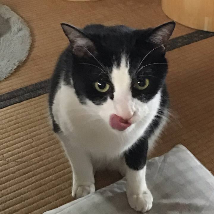 48b11e6c 74e5 47de 8f70 ec47a50ffc90 1750842442083