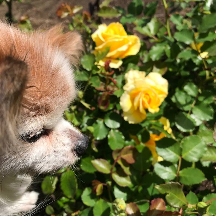 48b13ee9 ac6a 44c7 8c89 87818be0e79e 1523845092703