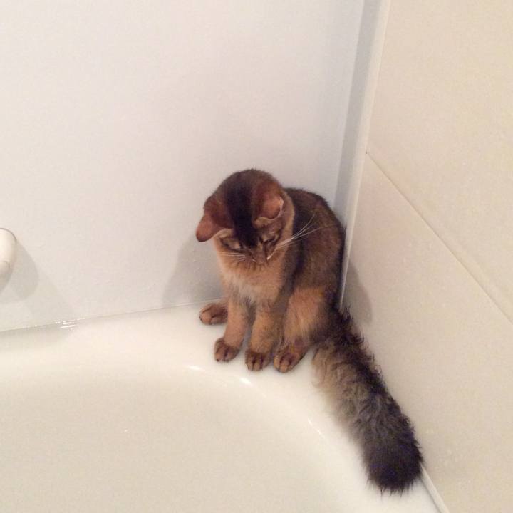 48b14159 44c0 44f4 a537 249dc8aafa4b 1566912808420