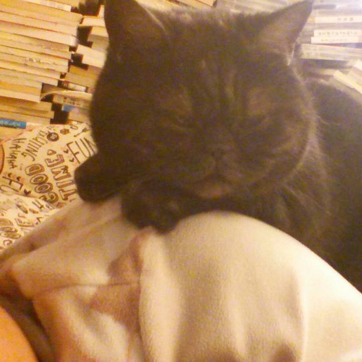 48b16bd6 d2dc 498b a35c df8571ce4285 1519773358150