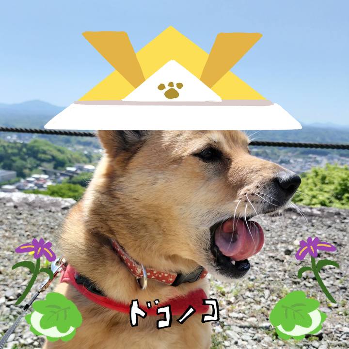 48b1af2b 5cd8 4b88 9015 4d47745c686b 1714988169335