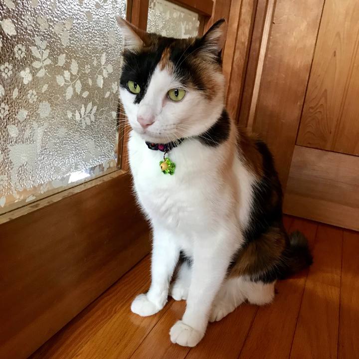 48b1c107 7294 4f9a 9516 4cafa5a9fd15 1528934013253