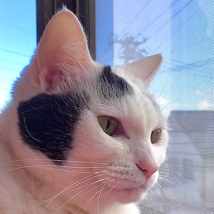 48b1ebfa 8d73 4a50 a5dd 3ef6813ea0a9 1584690371047