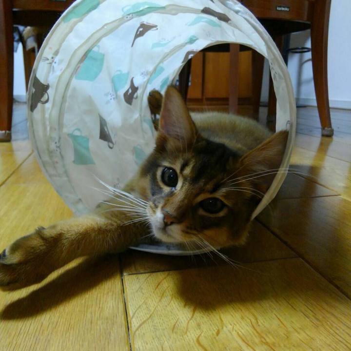 48b2012b f851 46b1 9215 462ba8b7d7b3 1575113872421