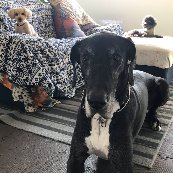 48b21178 0def 4f91 b50a e4b30d2884c4 1522276853152