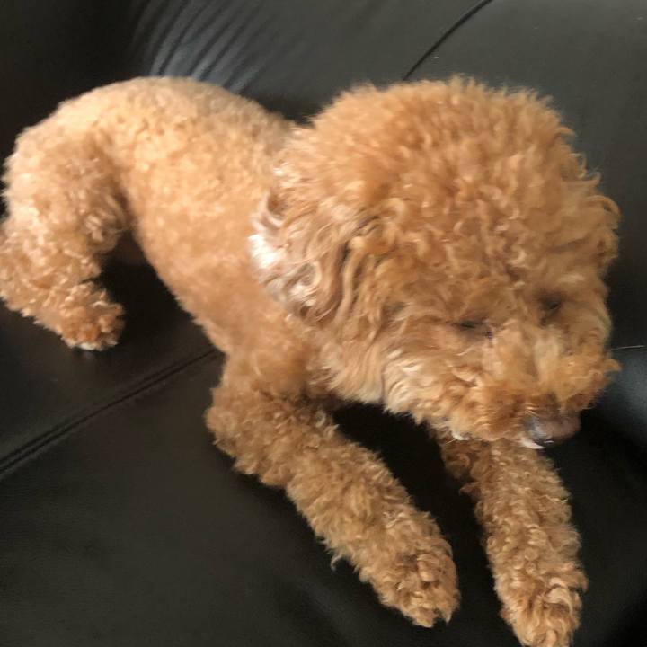 48b2202a ff7c 42aa aee3 300c2dbc20fc 1595836475085