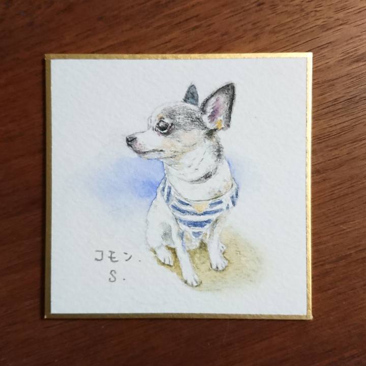 48b22610 f9dd 487a a6f7 82a2ea2c596b 1583913902050