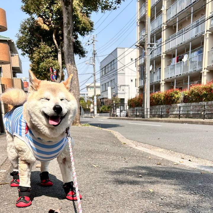 48b236e2 6637 4de3 8587 40b6aeea346d 1742953148009