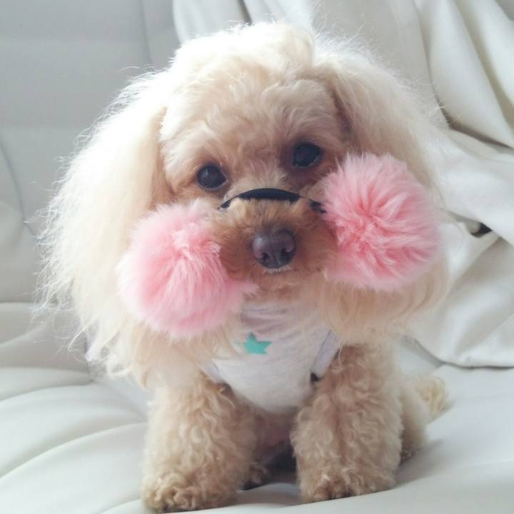 48b2500c e800 45ba a71e 1afe4a25d39b 1519818079179