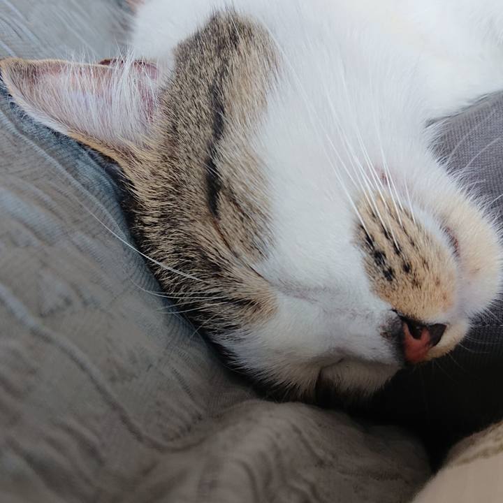 48b273dc 0270 4aa9 8d9c 1985c6d727c7 1650782054144