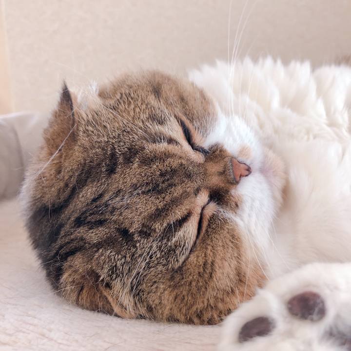 48b2a7cd 380a 4cd1 8d4e f27261b10563 1621172558433