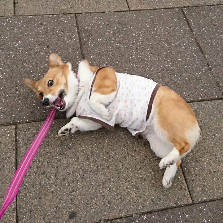 48b2eec8 dd4a 4a8e ae78 1631a77ed554 1555816099587