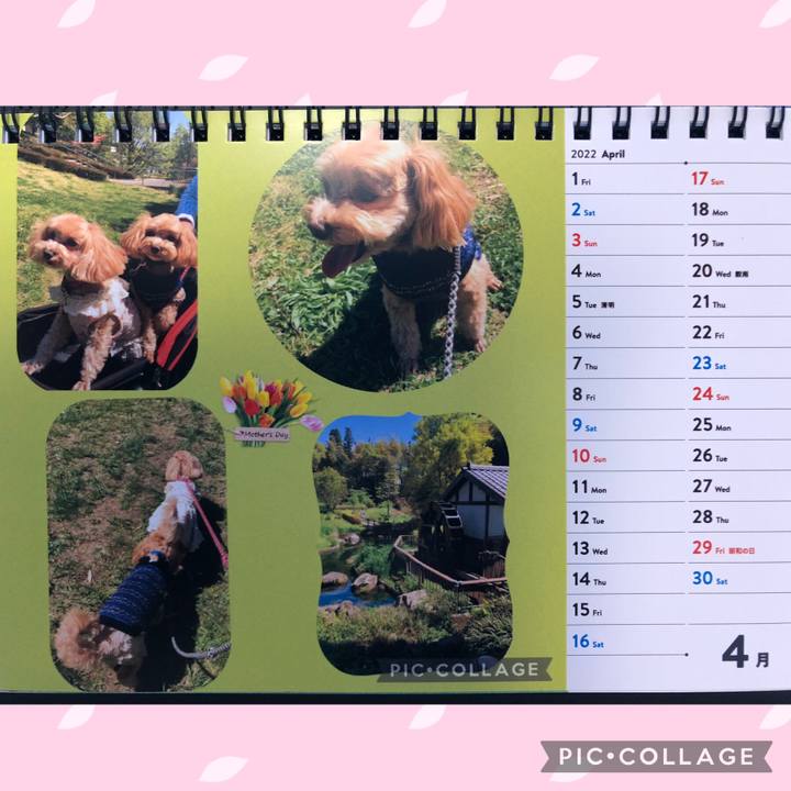 48b31719 eb40 4693 937a 95405ebd2a07 1648878291955