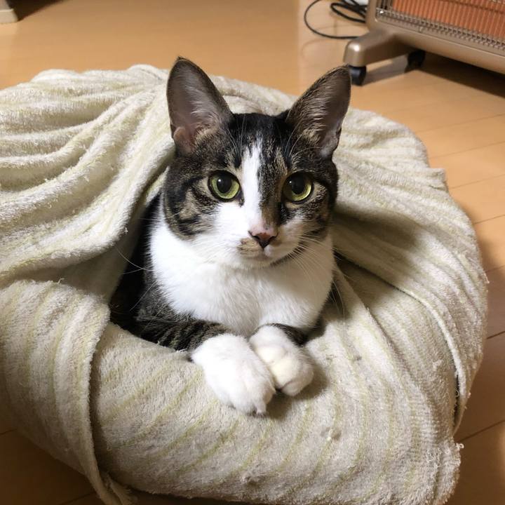 48b323d1 ef92 4e66 9350 a8bec65eaa73 1575176280973