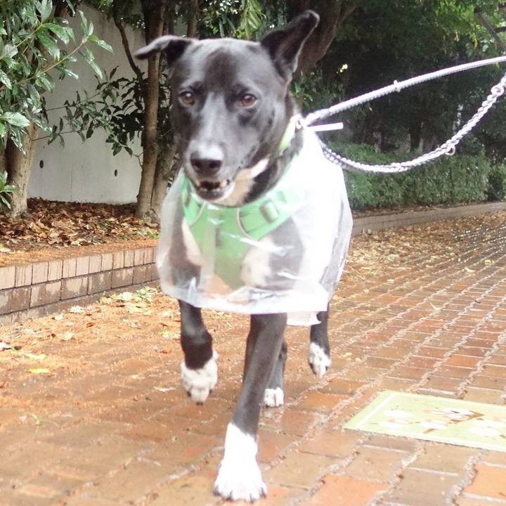 48b38c7b 05ab 4b94 b66b b4b4da7baeeb 1602892140529