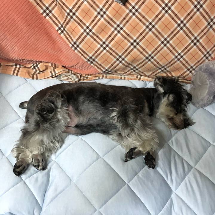 48b3c4dd 608c 4b75 a8dd 0ab53bb61f4b 1623847559874