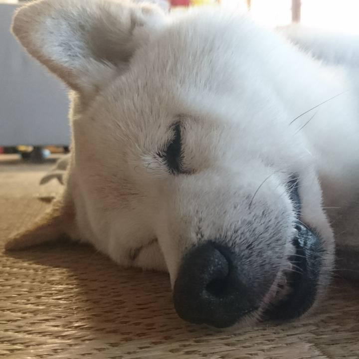 48b40491 133b 4cd9 8796 4f40606107d4 1562839627669