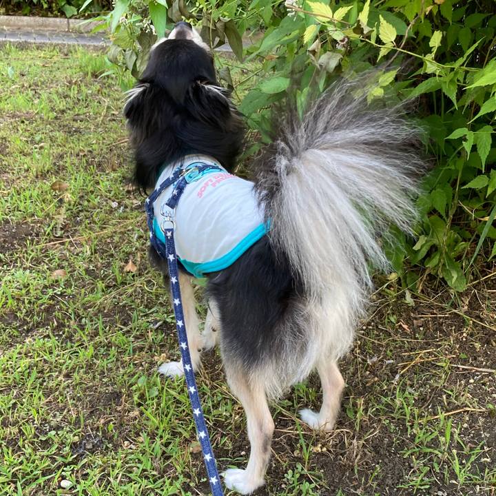 48b41fec fa5a 4d4d 9d25 c6c00e30f60f 1656218125849