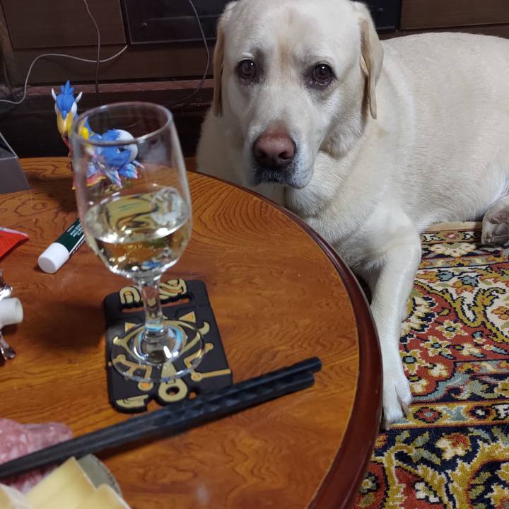 48b43093 c115 4747 8df6 6a39608cdb36 1690810078824