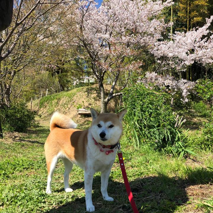 48b4653c cfe3 4e57 b39e fbea557d5bdb 1555118659005