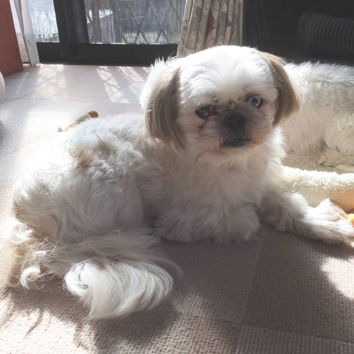 48b47657 c60f 48a0 8d81 2920c2e4a5bf 1509413761665