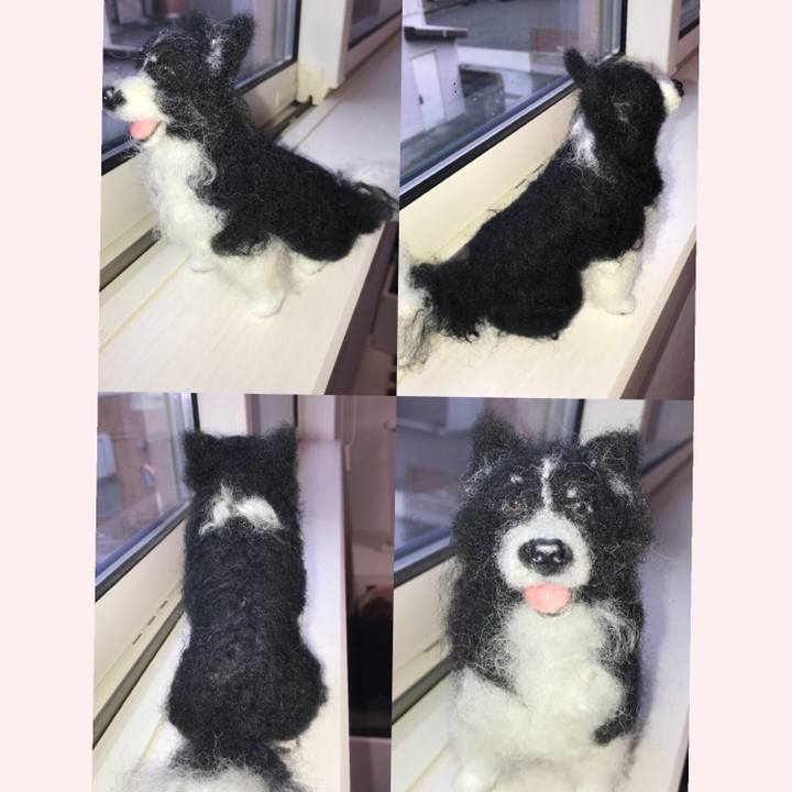 48b49c97 fad4 4f8b 8408 491e61877715 1537957872698