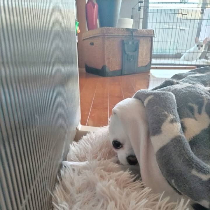 48b4ec02 0a06 467c 84ff 40158fddf0b0 1770329741305