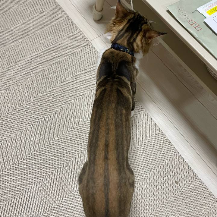 48b51865 2caf 4f61 9f14 28fc3d181846 1659438866037