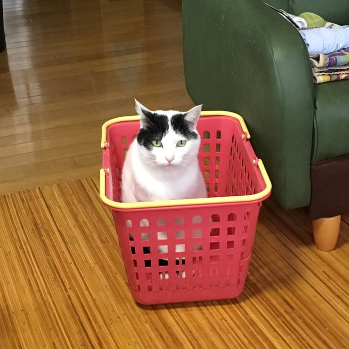 48b52a32 8133 444c b328 bb1dd4624a84 1519901696576