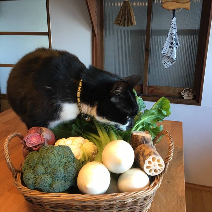 48b546eb 4d2f 4d95 bec9 871b91760260 1511420968623