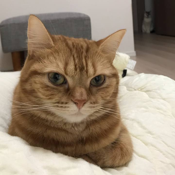 48b58f73 1c3a 4f23 8a6d d295be7d6676 1550099749077