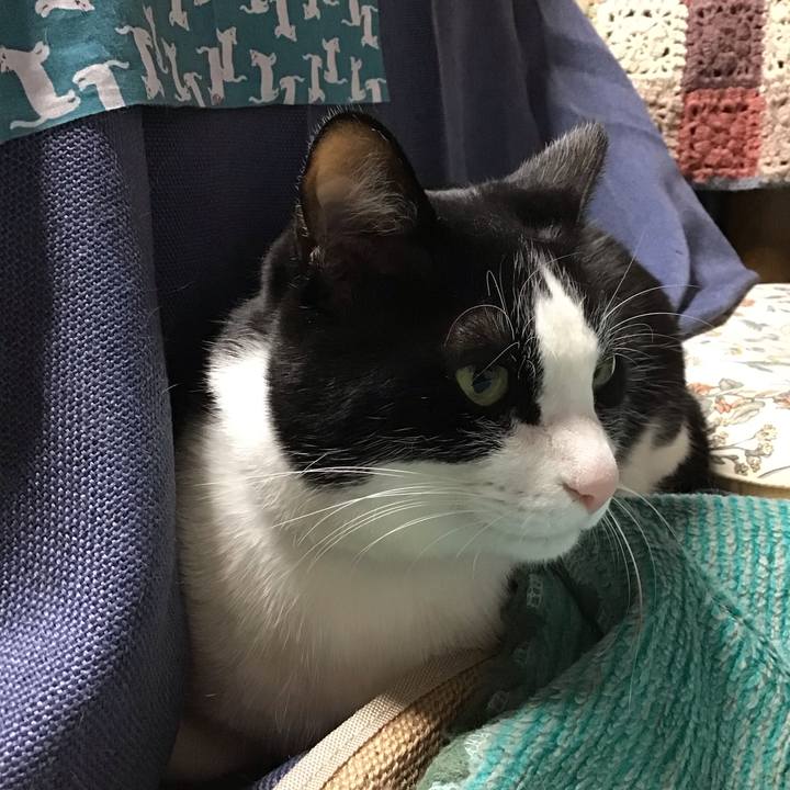 48b59e05 35bc 4509 b0b4 12766ccd4a3e 1743414170289