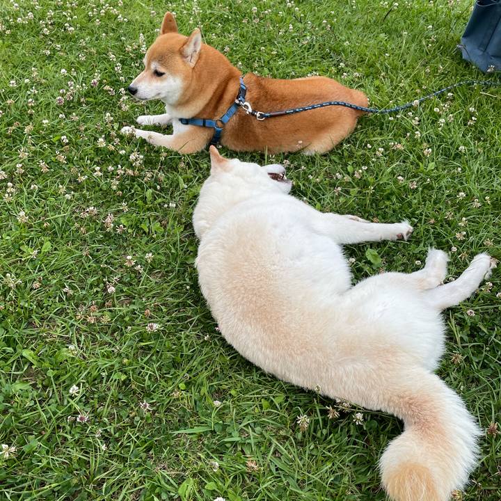 48b5be6a a962 4109 9cc0 1598a9871781 1654780126648