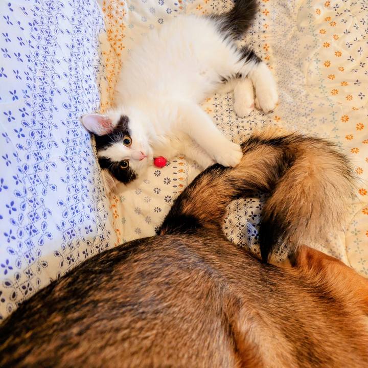 48b5d560 8f51 4d40 92b9 3e3213d967da 1760837728118