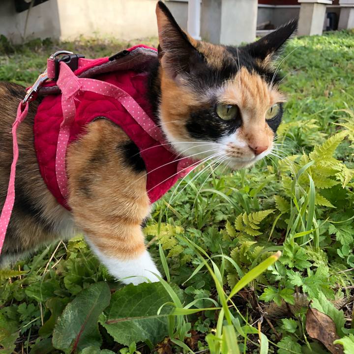 48b61e0c 4a19 408e 96f7 73ef77d41d61 1542172791038