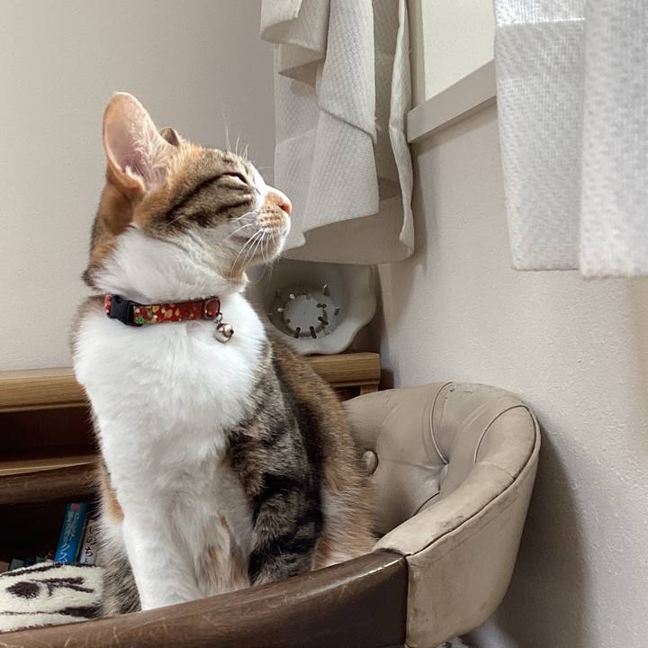 48b62293 fa68 42e0 9381 45f2c9c3f68c 1679362447898