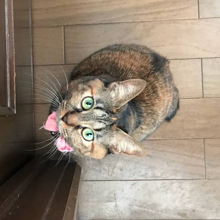 48b630aa 0587 42b0 8848 999f368d0914 1512518948785